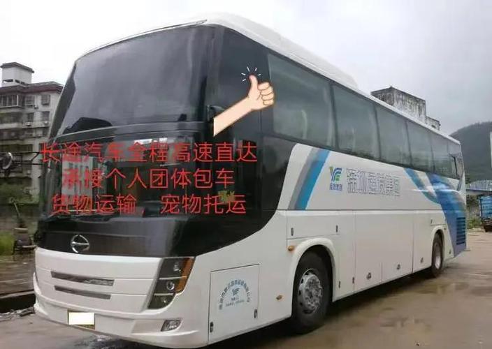 广西货运宠物广西货运宠物托运公司