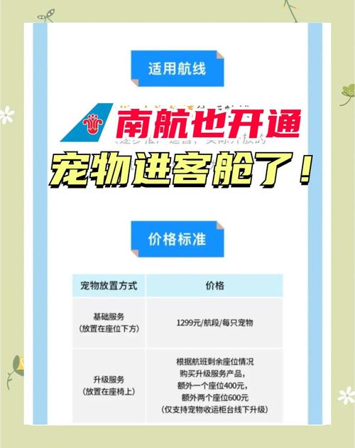 南航货运招租南航货运招租信息