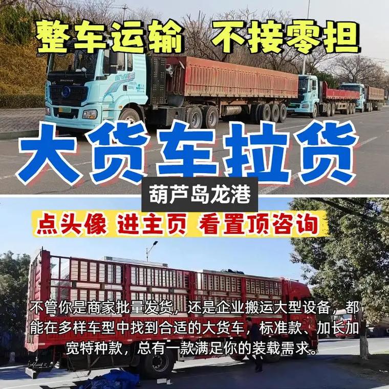 龙港货运船龙港货运网