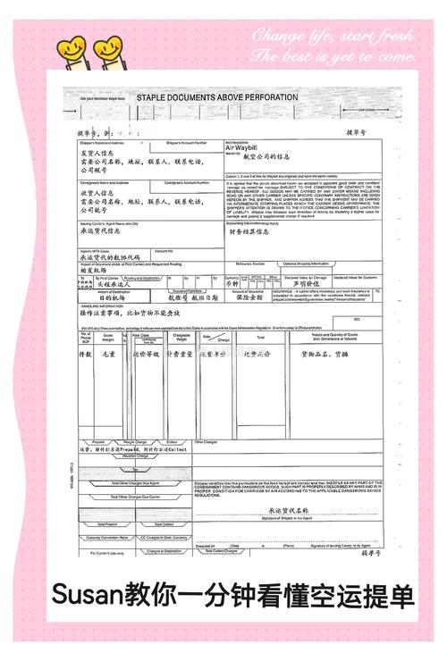 货运文件提单货运文件提单怎么写
