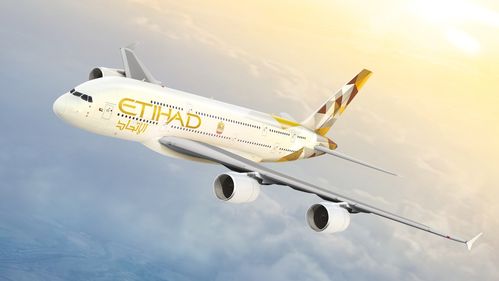ey 航空货运ey航空货运查询