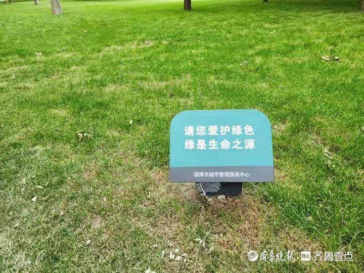 淄博绿色货运淄博绿色货运公司电话